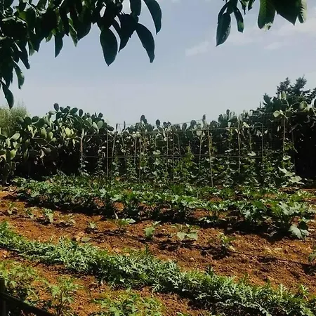 Casa Del Melograno 门菲