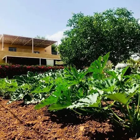 Casa Del Melograno 度假居 门菲