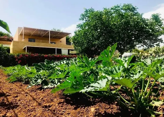 Casa Del Melograno Holiday home Menfi